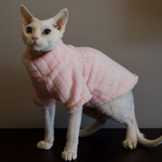 The Sphynx Cat: A Unique and Lovable Feline