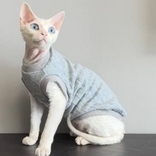 Why Do Sphynx Hairless Cats Need to Wear Clothes?