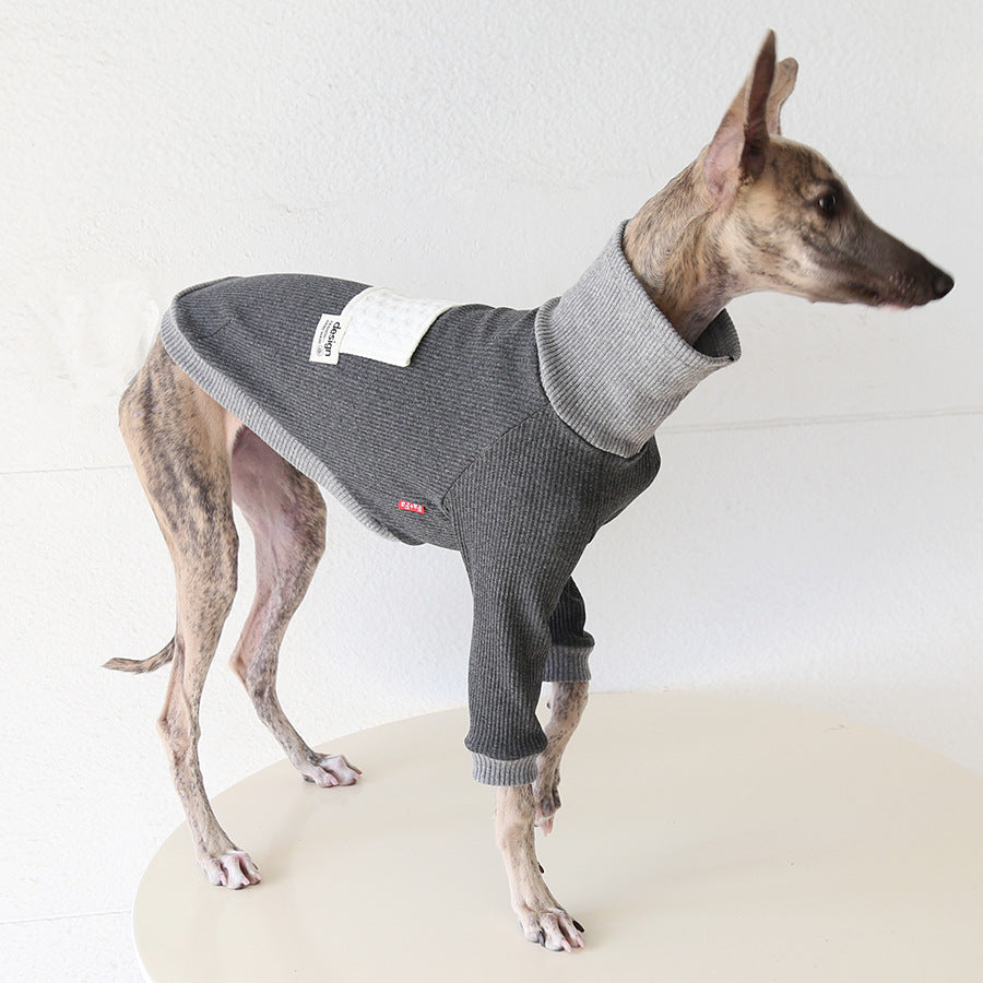 Whippet and Greyhound color-block top