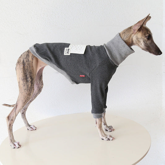 Whippet and Greyhound color-block top fit