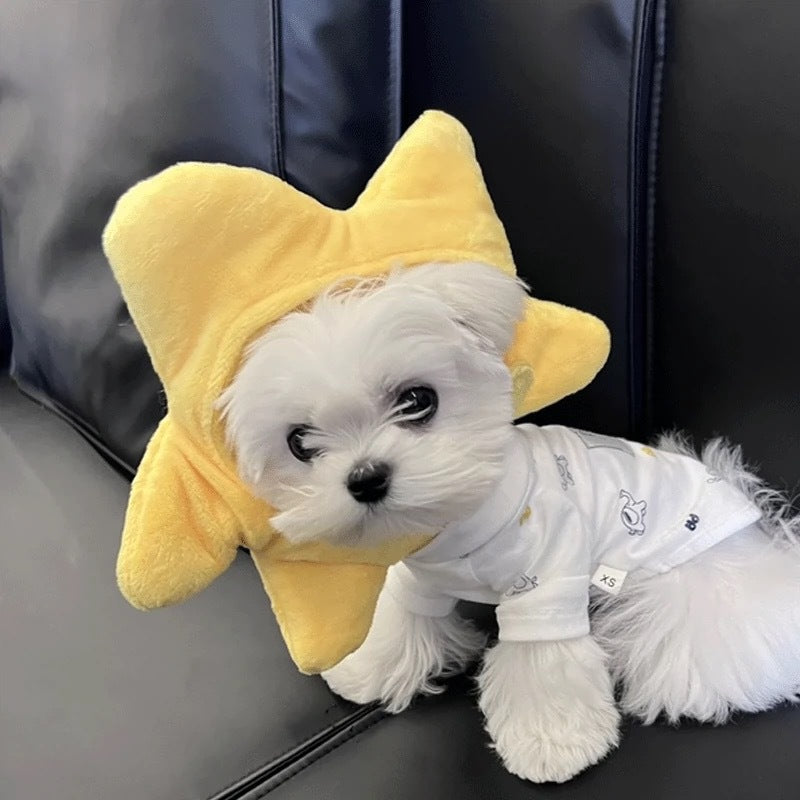 Holiday Cute Cat and Dog Yellow Star Hat