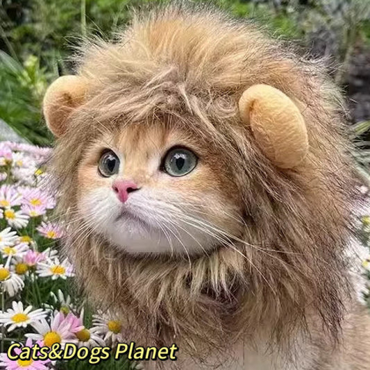 Funny holiday hats for cats and dogs