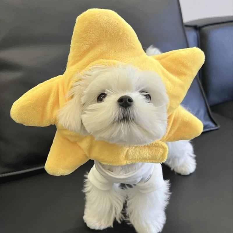 Holiday Cute Cat and Dog Yellow Star Hat