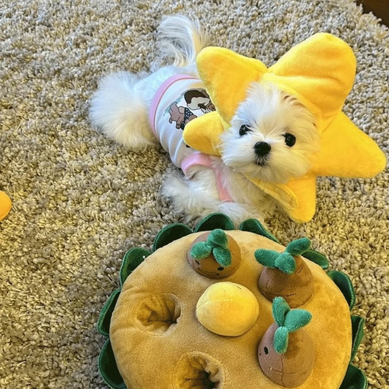 Holiday Cute Cat and Dog Yellow Star Hat
