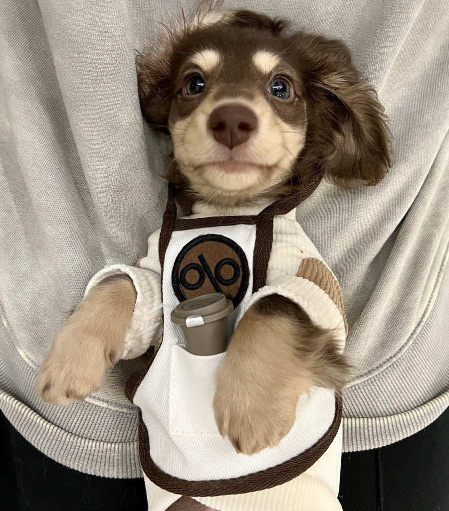 00ab16a7-e877-4562-bad0-ad6ed8c3fc73