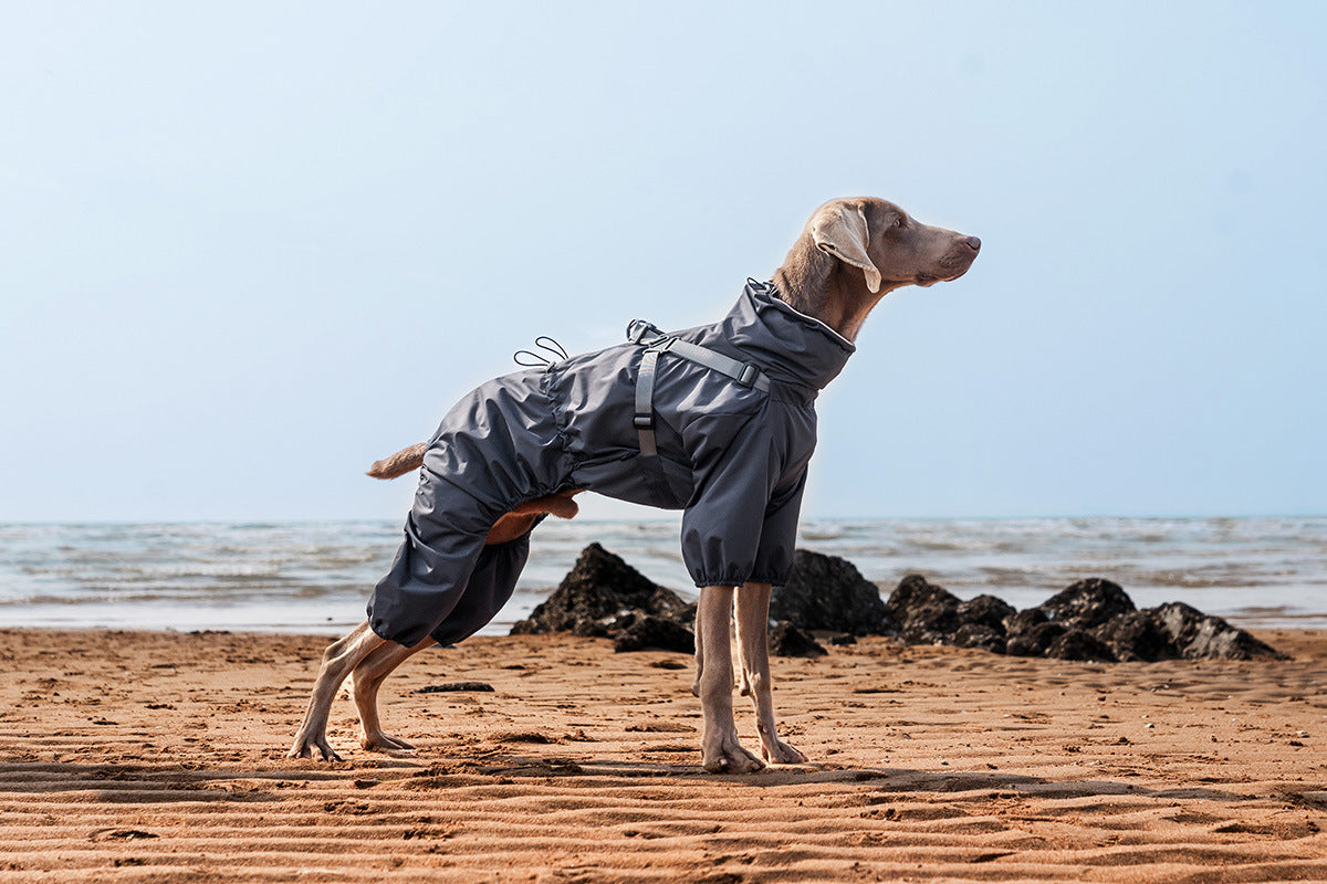 c30184e5-f85d-4648-aaf8-f4b0bfb4a892