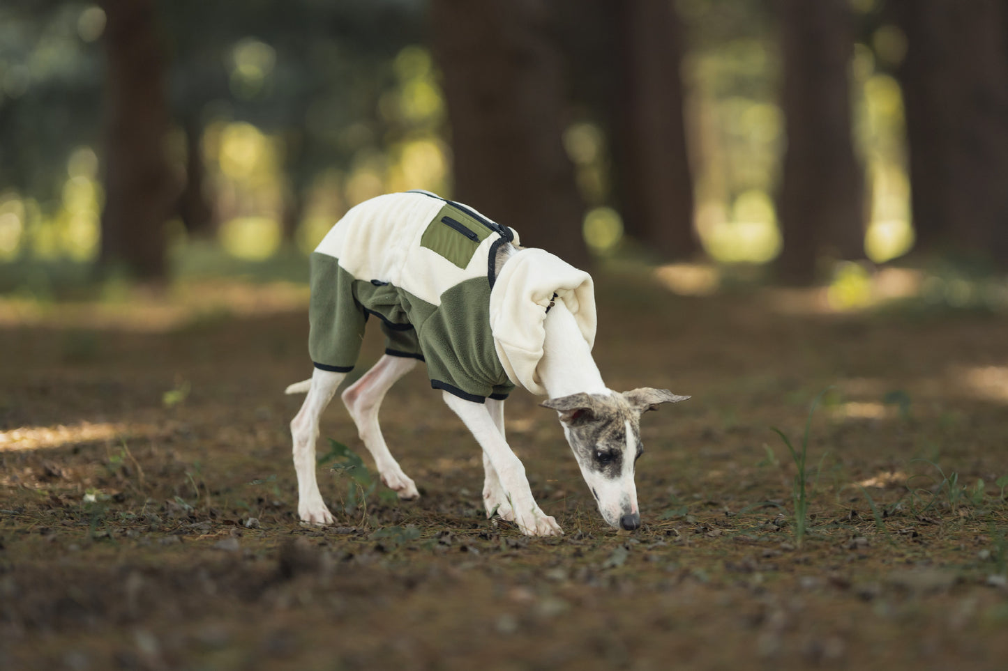 1b98e9d8-9929-4131-9cbe-5a815f477893