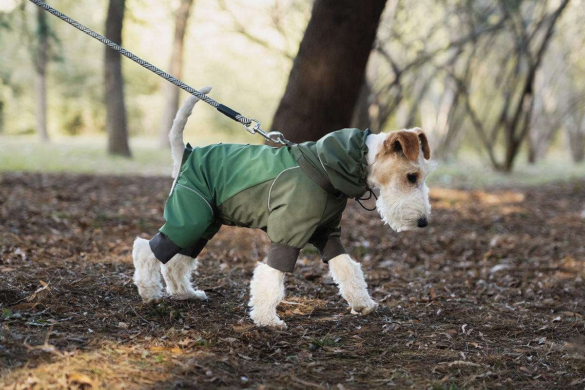 7d24a2ae-e5dd-4005-90e9-ff0def3f7125