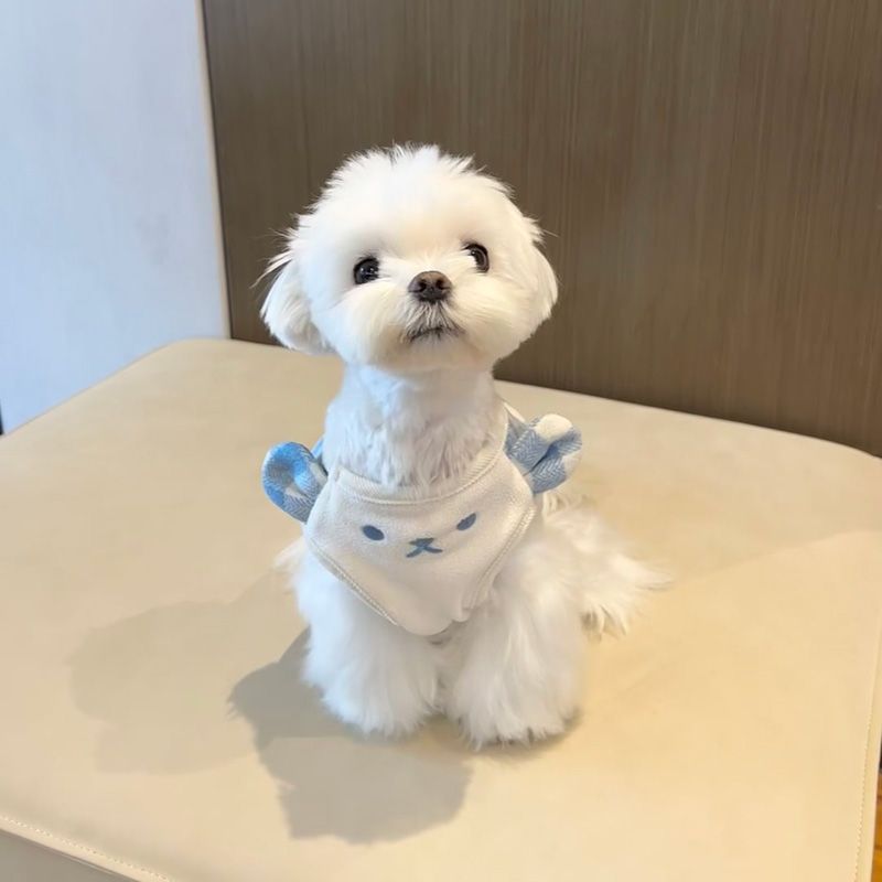 SOCKPET Small Dog Vest Loungewear - product detail image 5