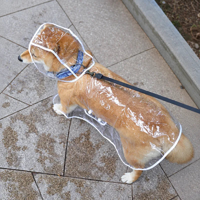 White-trim clear raincoat leash opening