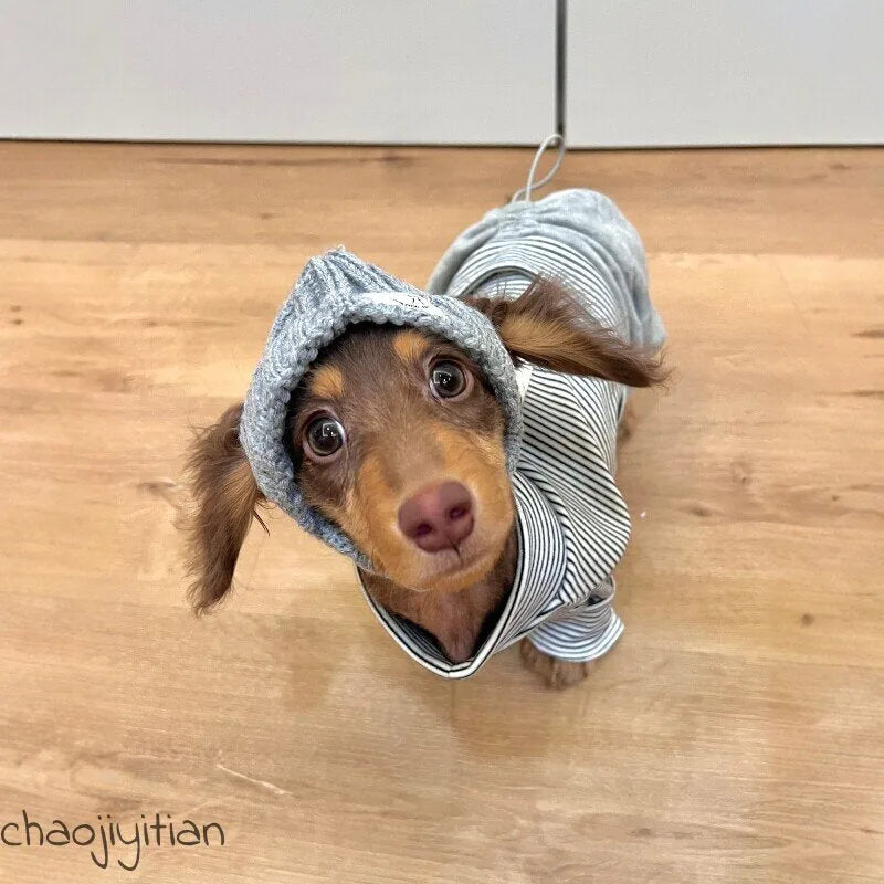 Striped Dachshund Onesie & Hat Options — product view 3