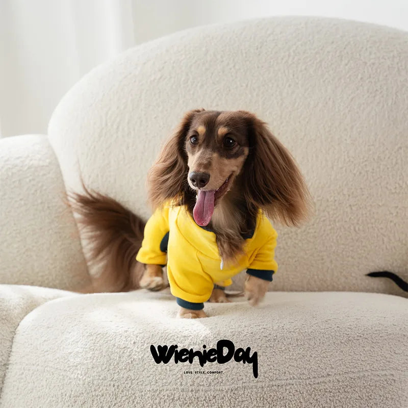WienieDay Comfort Polo Onesie for Dachshunds — product view 2
