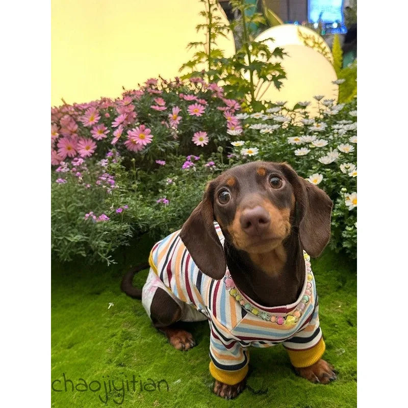 Rainbow Stripe Dachshund Shirt — product view 2