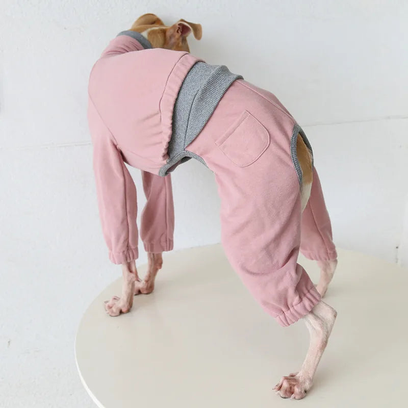 Layered-Look Onesie for Italian Greyhounds & Whippets — product view 8