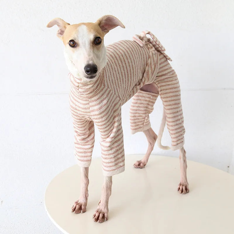 Striped Tie-Back Onesie for Italian Greyhounds & Whippets — product view 7