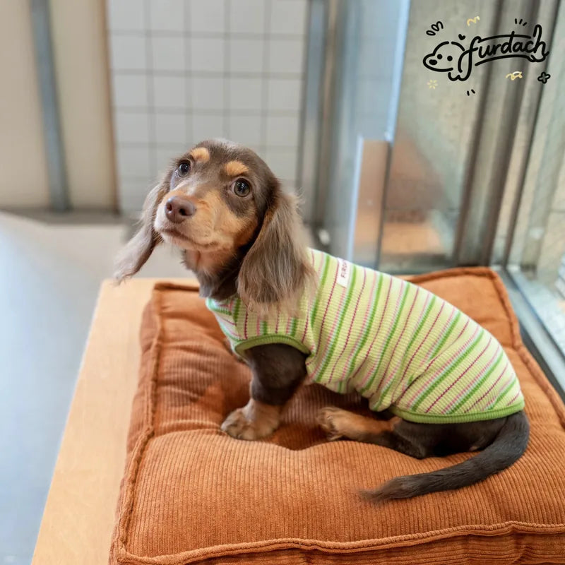 Striped Dachshund Vest — product view 6