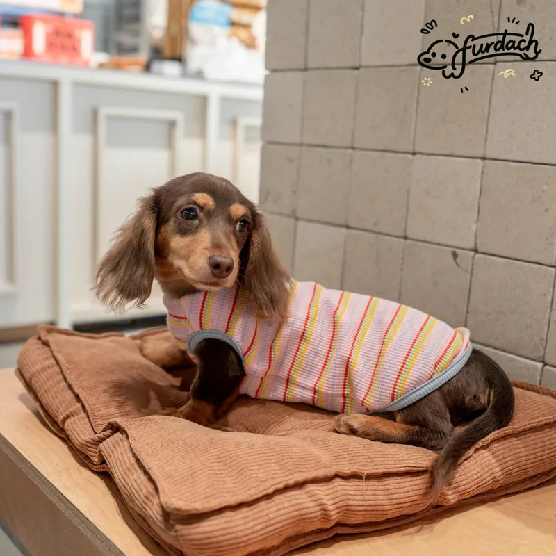 Striped Dachshund Vest — product view 7
