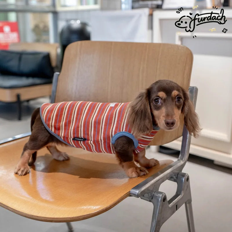 Striped Dachshund Vest — product view 10