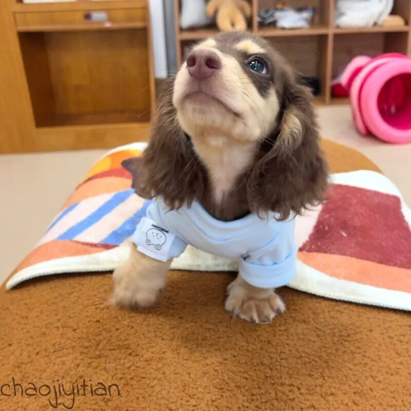 Sky Blue Dog Base Layer Shirt — product view 4