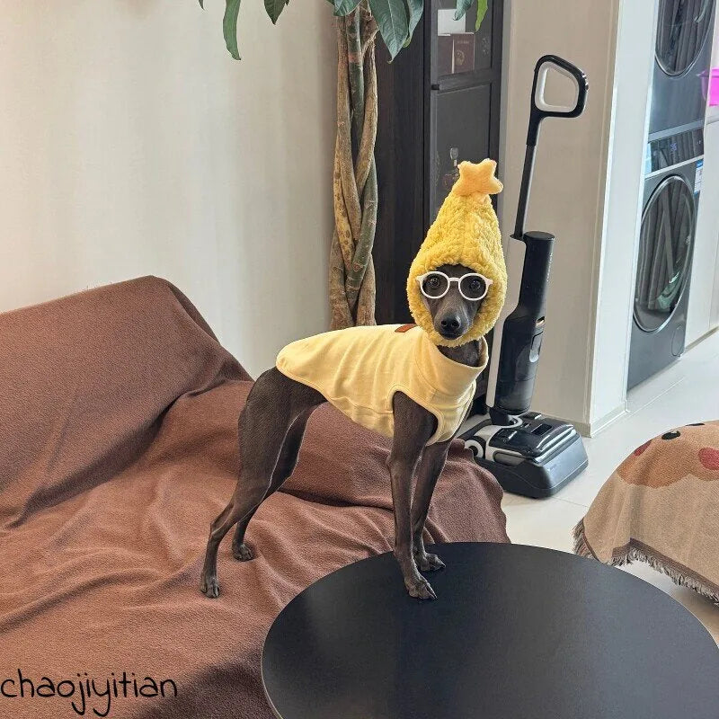 Yellow Dog Shirt, Star Hat & Glasses Set — product view 3