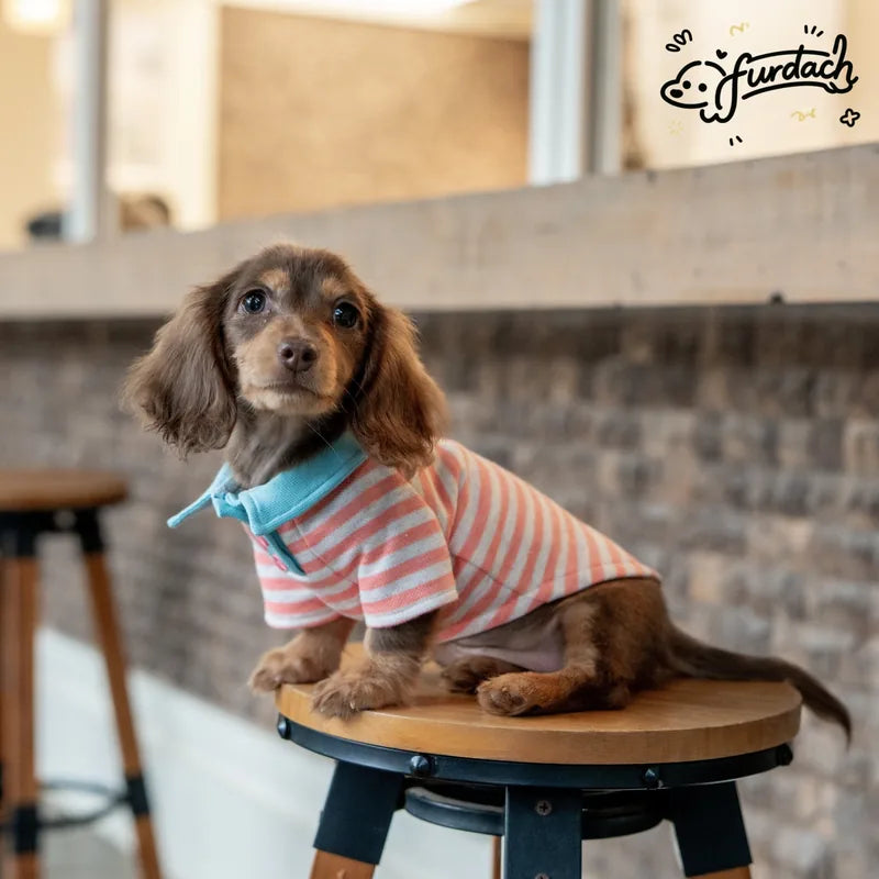 Striped Dachshund Polo Shirt — product view 5