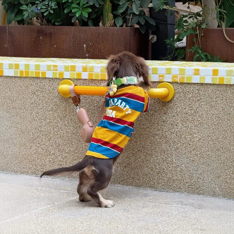 Red & Yellow Striped Dog T-Shirt — product view 6
