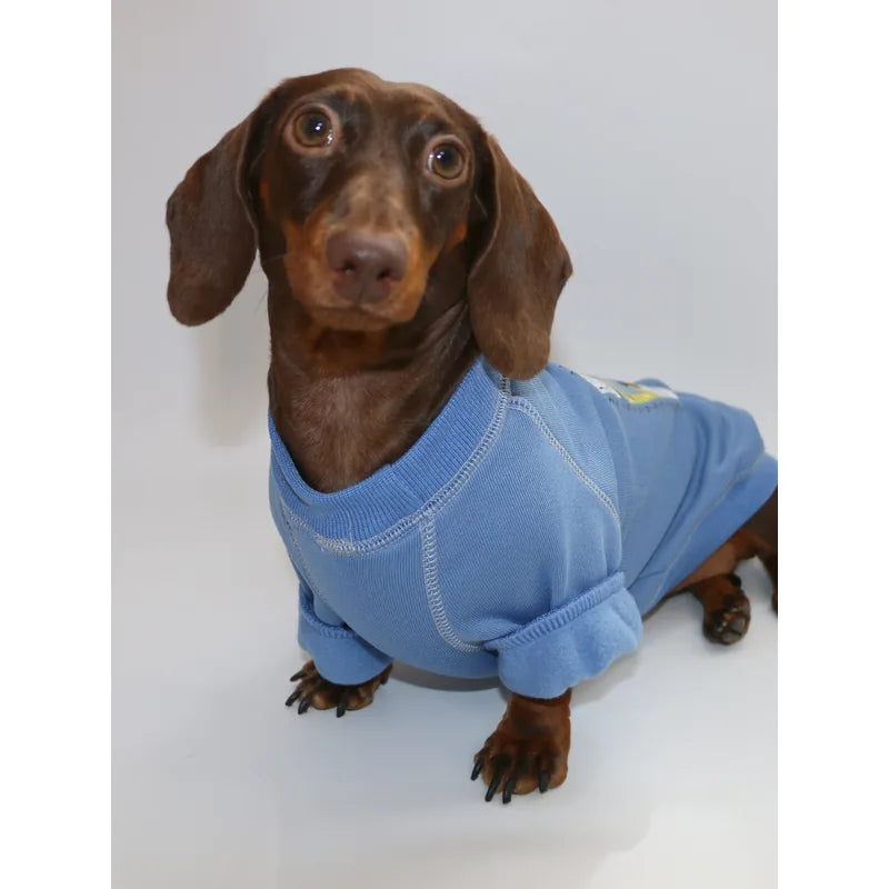 Graphic Dog Sweatshirt — product view 2