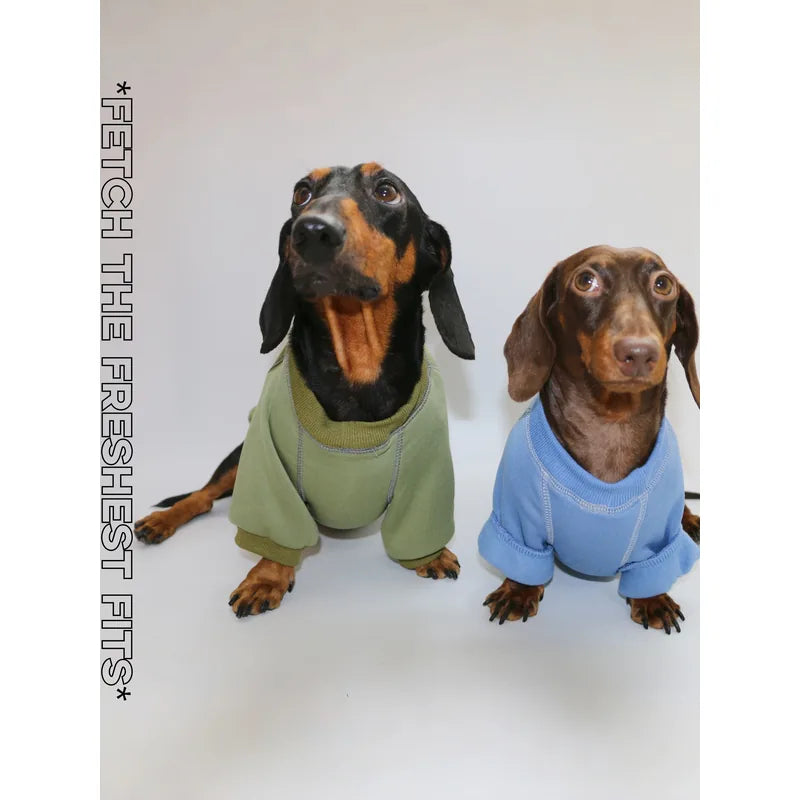 Graphic Dog Sweatshirt — product view 3