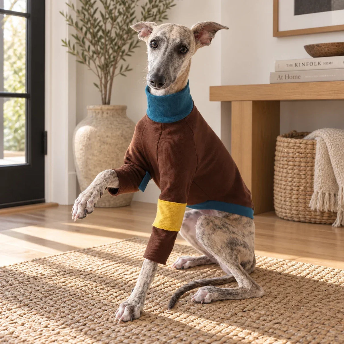 Greyhound & Whippet Shirts — Whippet and Greyhound Spring Color Patchwork Clothes
