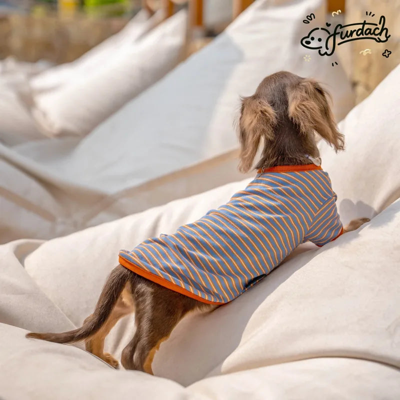 Furdach Blue & Orange Stripe Dachshund Tee — product view 5