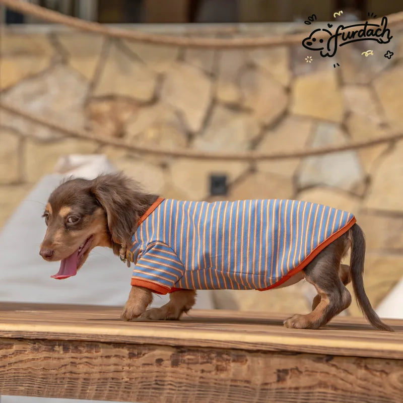 Furdach Blue & Orange Stripe Dachshund Tee — product view 6