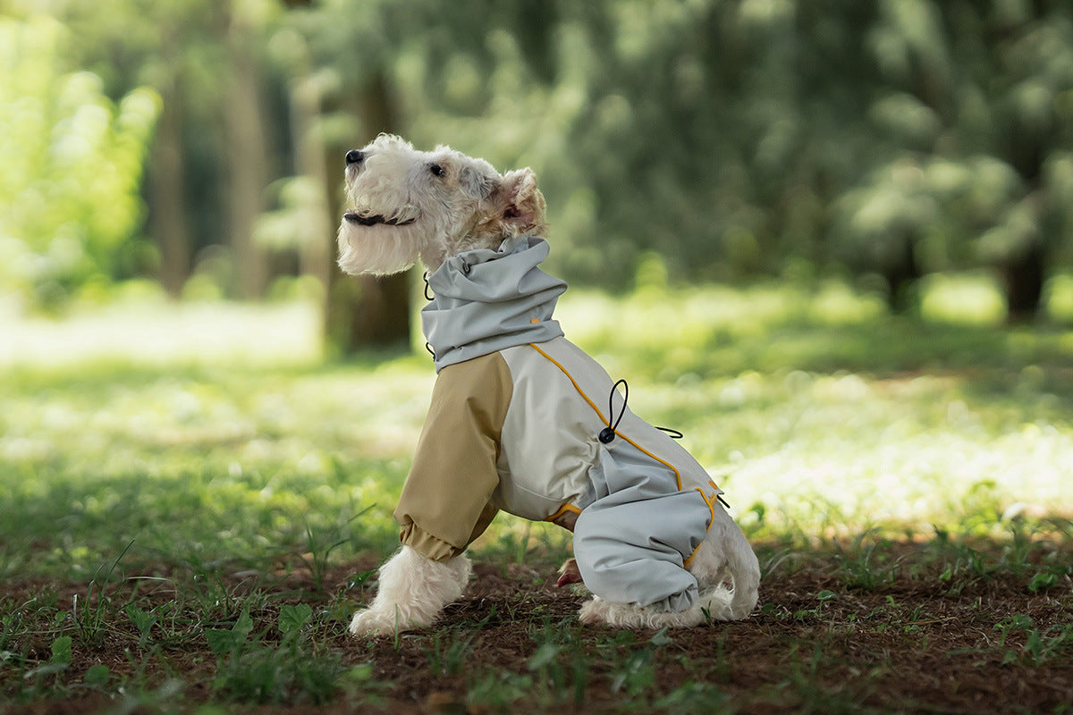 ab301654-0dbc-43d0-abb9-fcbf4fa1e198