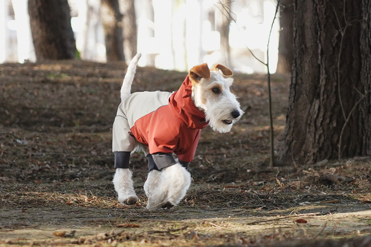 df76a6fd-8889-49c6-b989-206023797aff