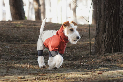 df76a6fd-8889-49c6-b989-206023797aff