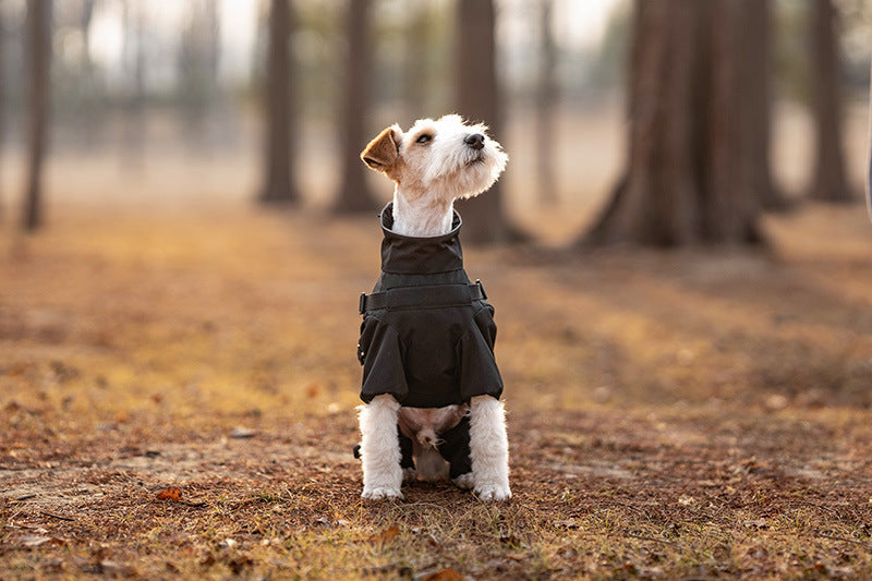 6243feb0-6e1a-464d-817b-5fb70082b5fe