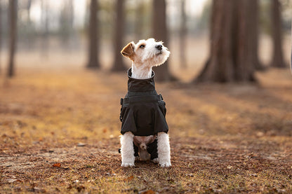 6243feb0-6e1a-464d-817b-5fb70082b5fe