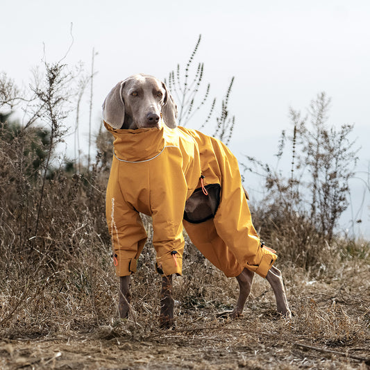 45790825-f5f5-479c-9eb7-3c279a331809