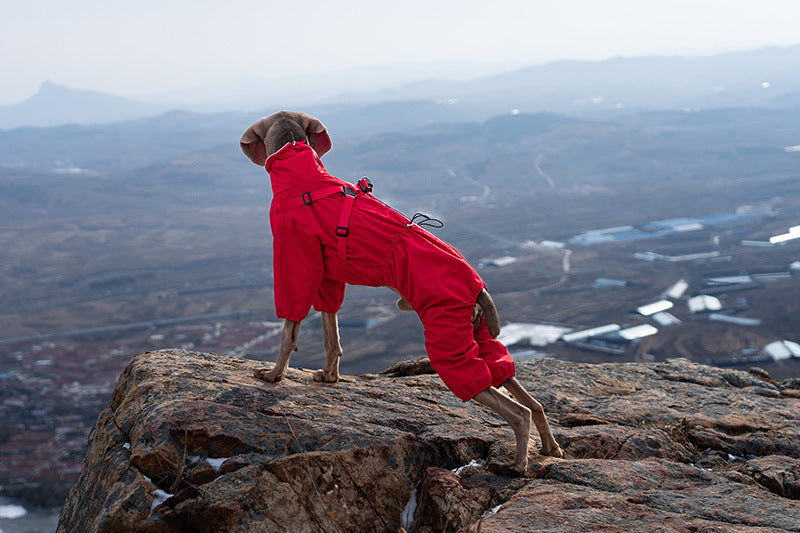 53bb4680-4489-4754-b3e1-d180c666c6ee