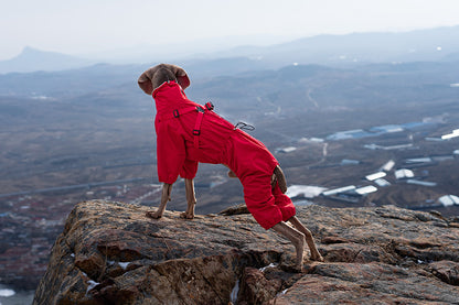 53bb4680-4489-4754-b3e1-d180c666c6ee