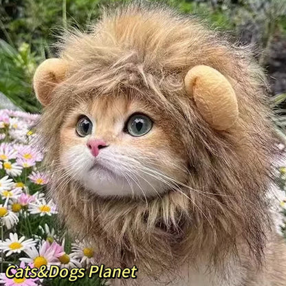 Funny holiday hats for cats and dogs
