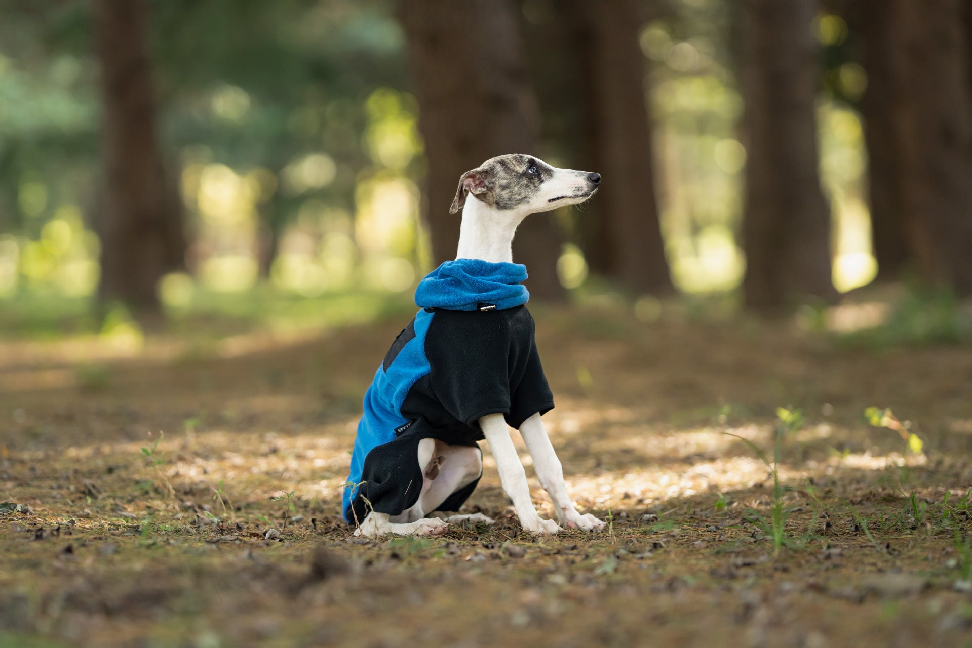 9c7c06b2-bb5c-4342-8ba7-3a8d86aee4a9