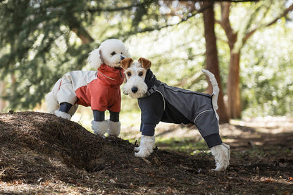 3fda0077-a16f-46fa-96dd-22c14fe21bd6