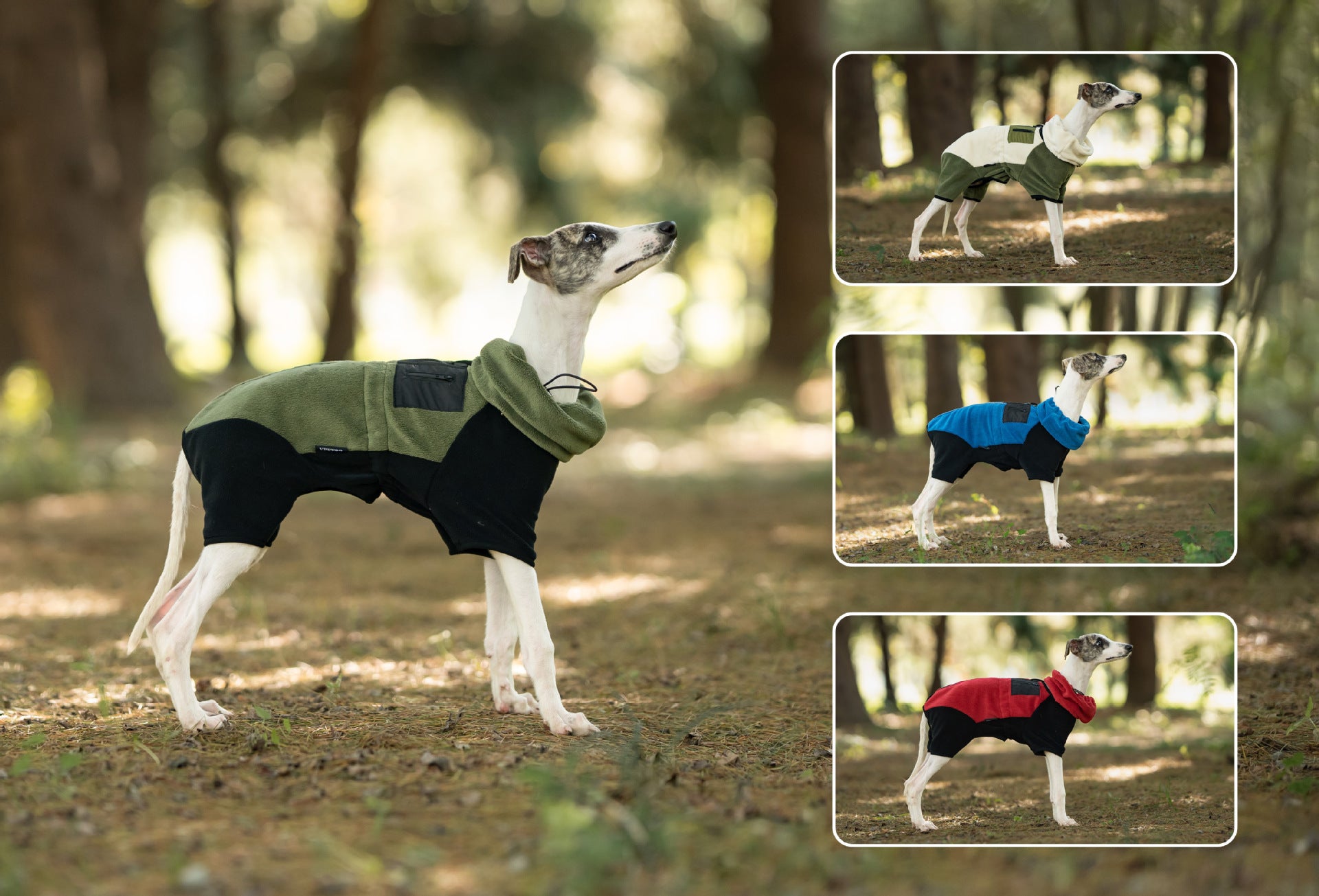 4edec46a-9eab-4067-a43e-fa77fd15a554