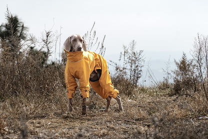 2a87debf-e00f-45af-8f31-935ad0d50208