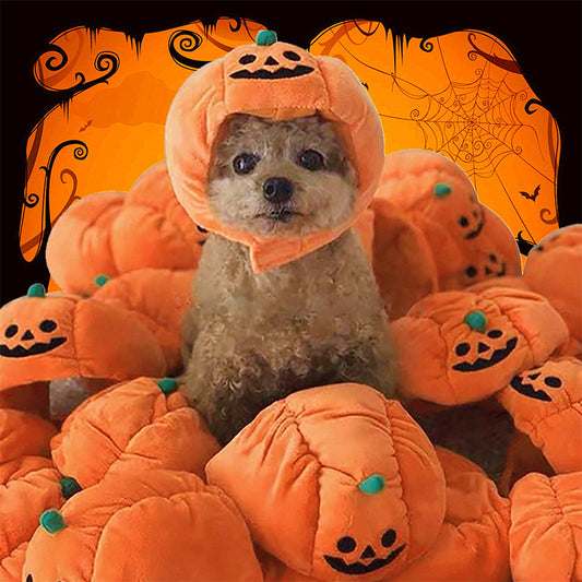 Pet Hat Christmas Funny Pumpkin Hat Cute Pet Animal Costume Personality Adorable Hat Transform Headgear for Dogs and Cats