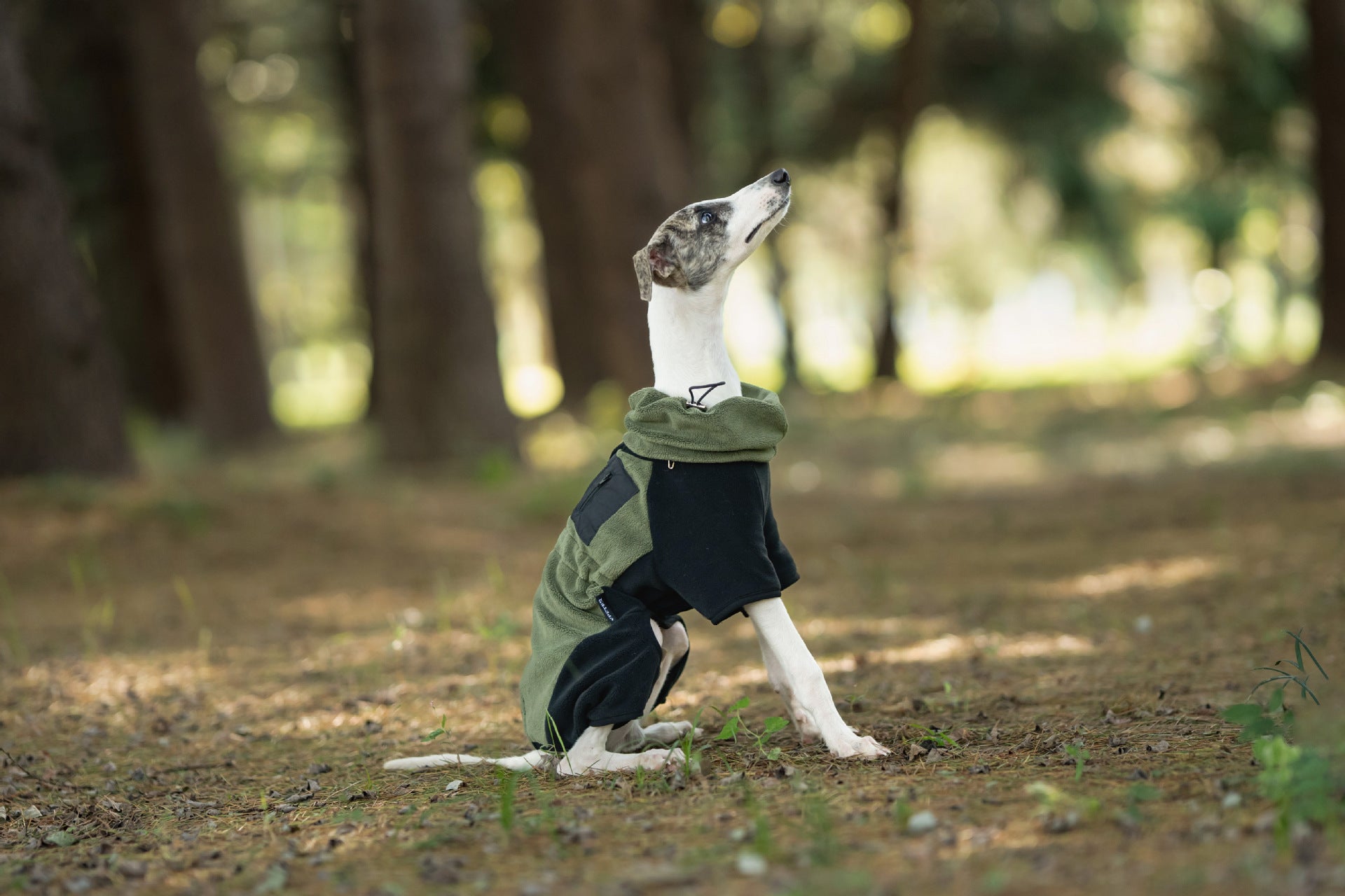 8f66d655-bbf1-43a2-a262-5b560a569b0f