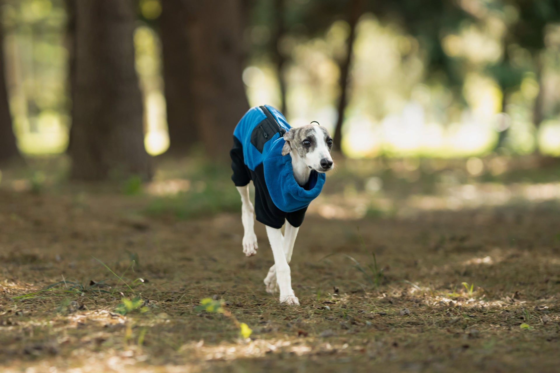 64fe2d74-ce93-4497-b8f2-660a4a4a500b