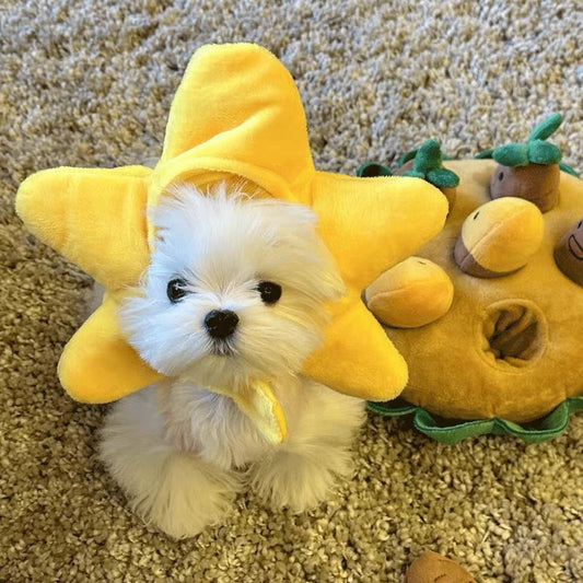 Holiday Cute Cat and Dog Yellow Star Hat