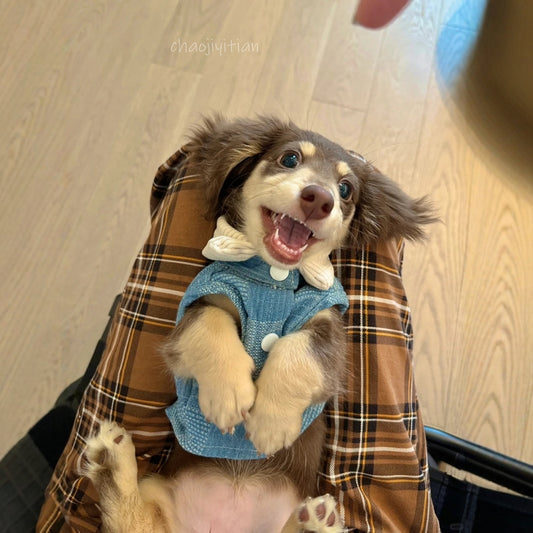 2947bd91-e9eb-41c8-a3a2-0374a8732857