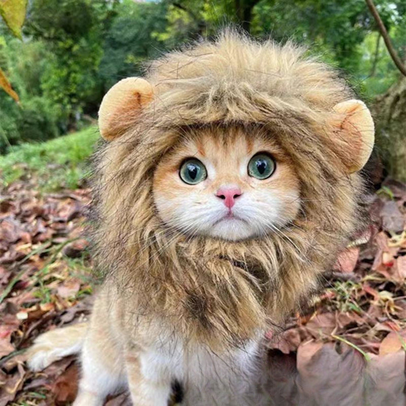 Funny holiday hats for cats and dogs